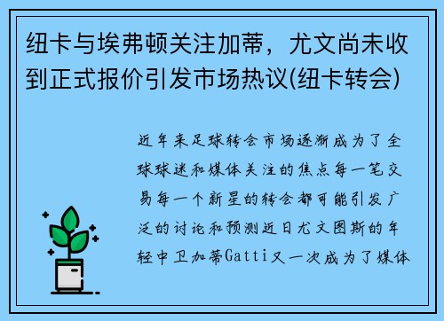 纽卡与埃弗顿关注加蒂，尤文尚未收到正式报价引发市场热议(纽卡转会)