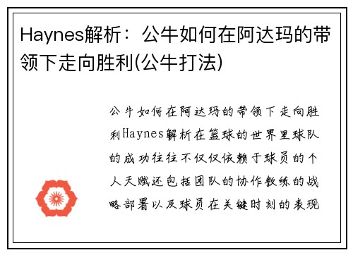 Haynes解析：公牛如何在阿达玛的带领下走向胜利(公牛打法)