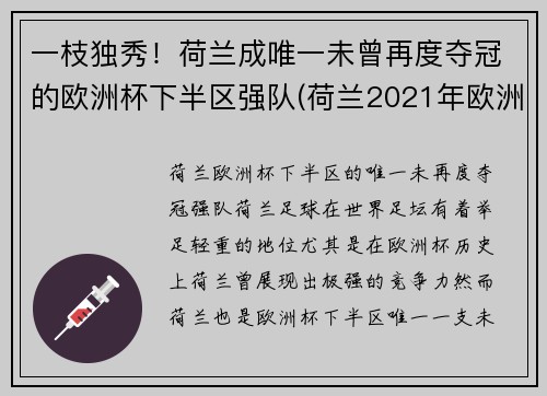 一枝独秀！荷兰成唯一未曾再度夺冠的欧洲杯下半区强队(荷兰2021年欧洲杯)